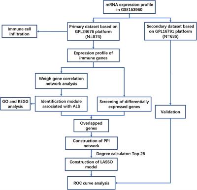 Novel Insight Into the Role of Immune Dysregulation in Amyotrophic Lateral Sclerosis Based on Bioinformatic Analysis